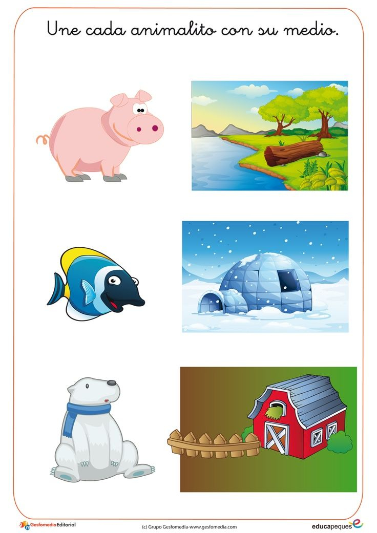 30 Animals And Their Habitats Worksheets Kindergarten