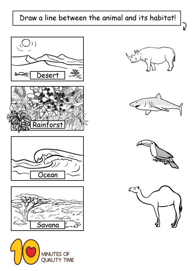 30 Animals And Their Habitats Worksheets Kindergarten