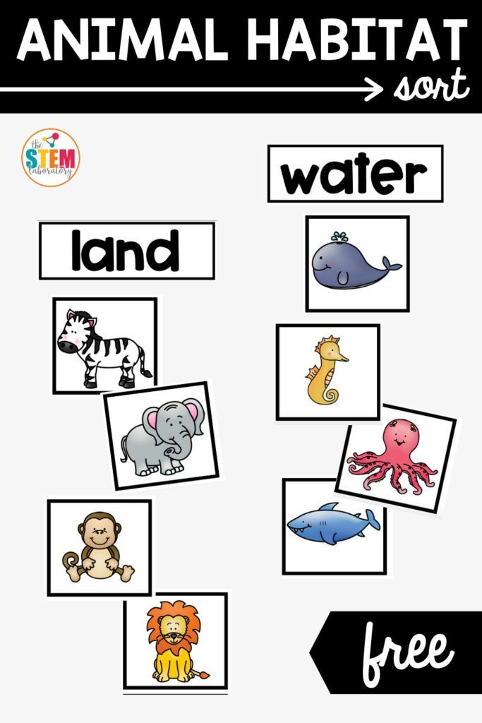 30 Animals And Their Habitats Worksheets Kindergarten