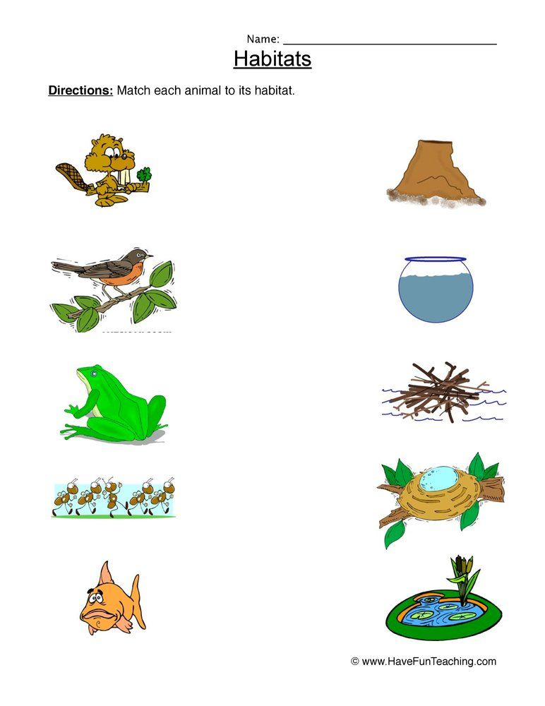 30 Animals And Their Habitats Worksheets Kindergarten