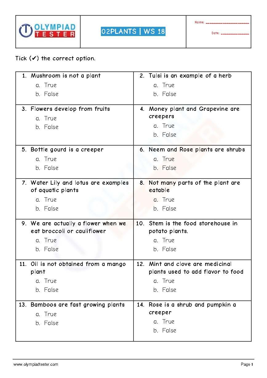 30 English Olympiad Worksheets Grade 1