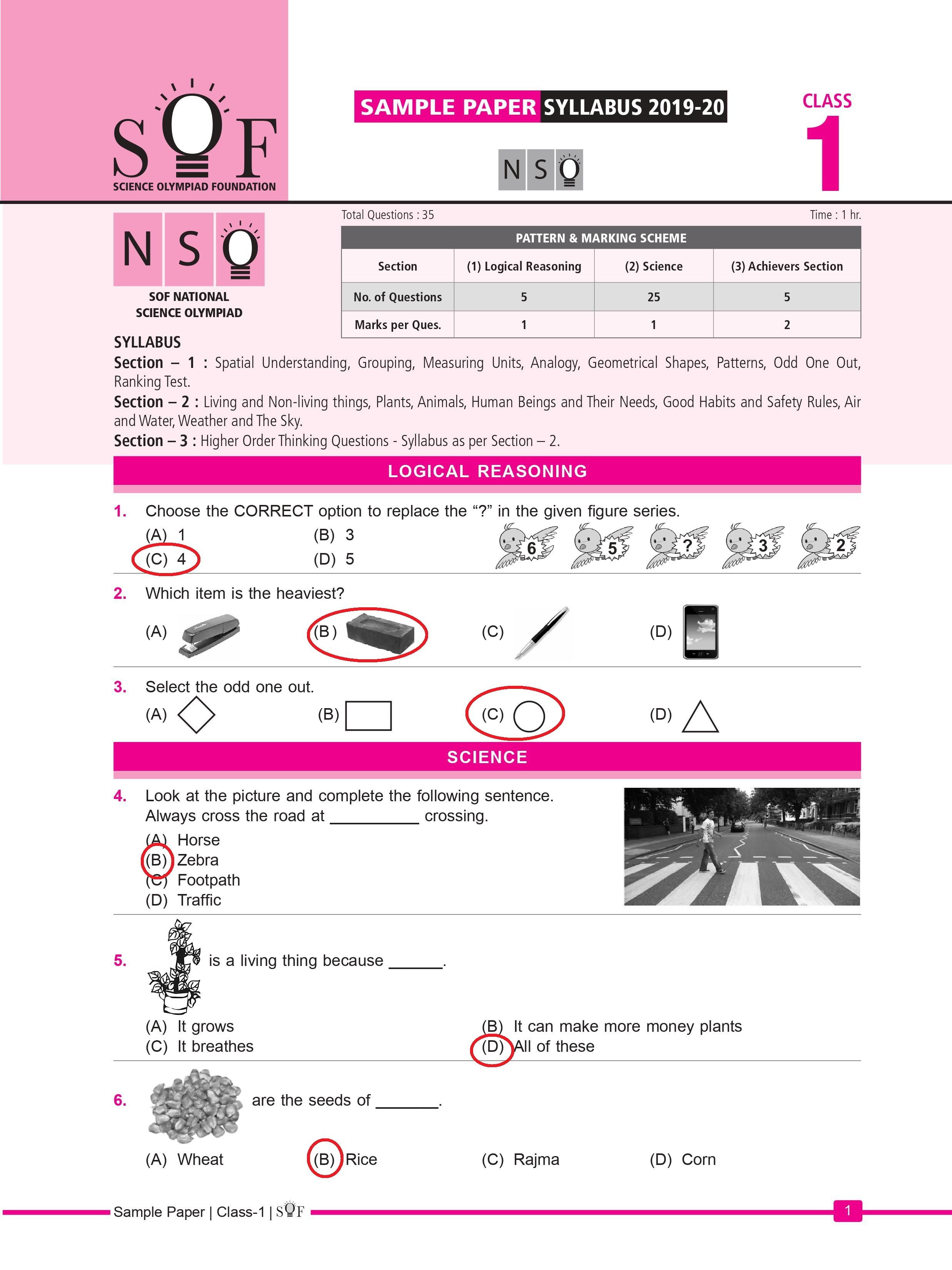 30 English Olympiad Worksheets Grade 1