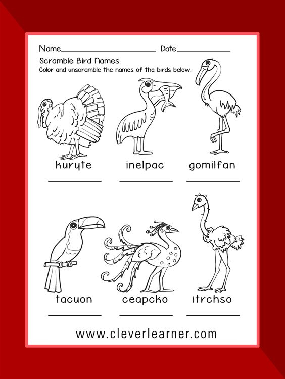 30 Kindergarten Worksheets On Birds