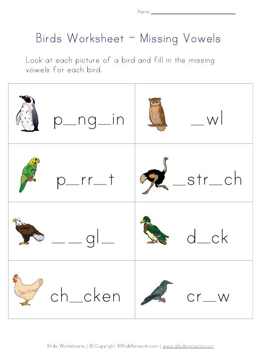 30 Kindergarten Worksheets On Birds