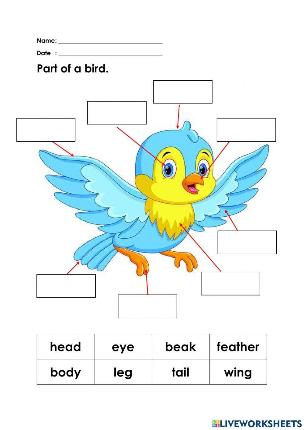 30 Kindergarten Worksheets On Birds