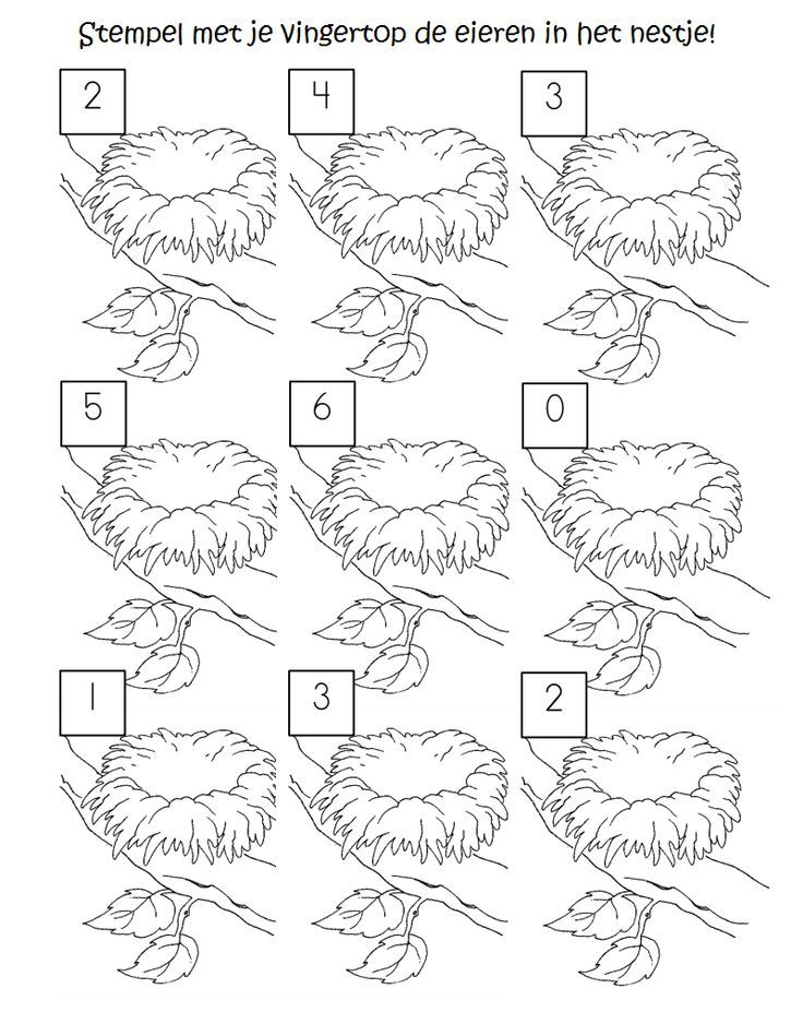 30 Kindergarten Worksheets On Birds