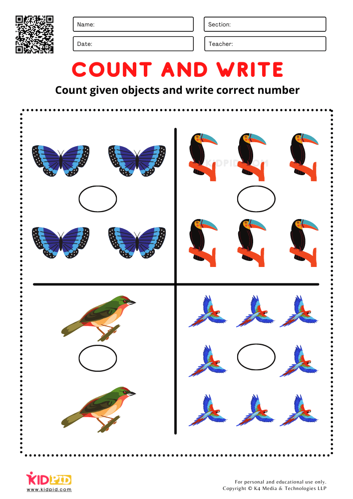 30 Kindergarten Worksheets On Birds