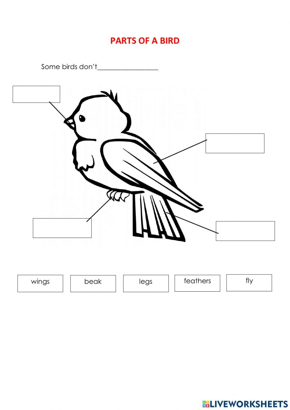 30 Kindergarten Worksheets On Birds