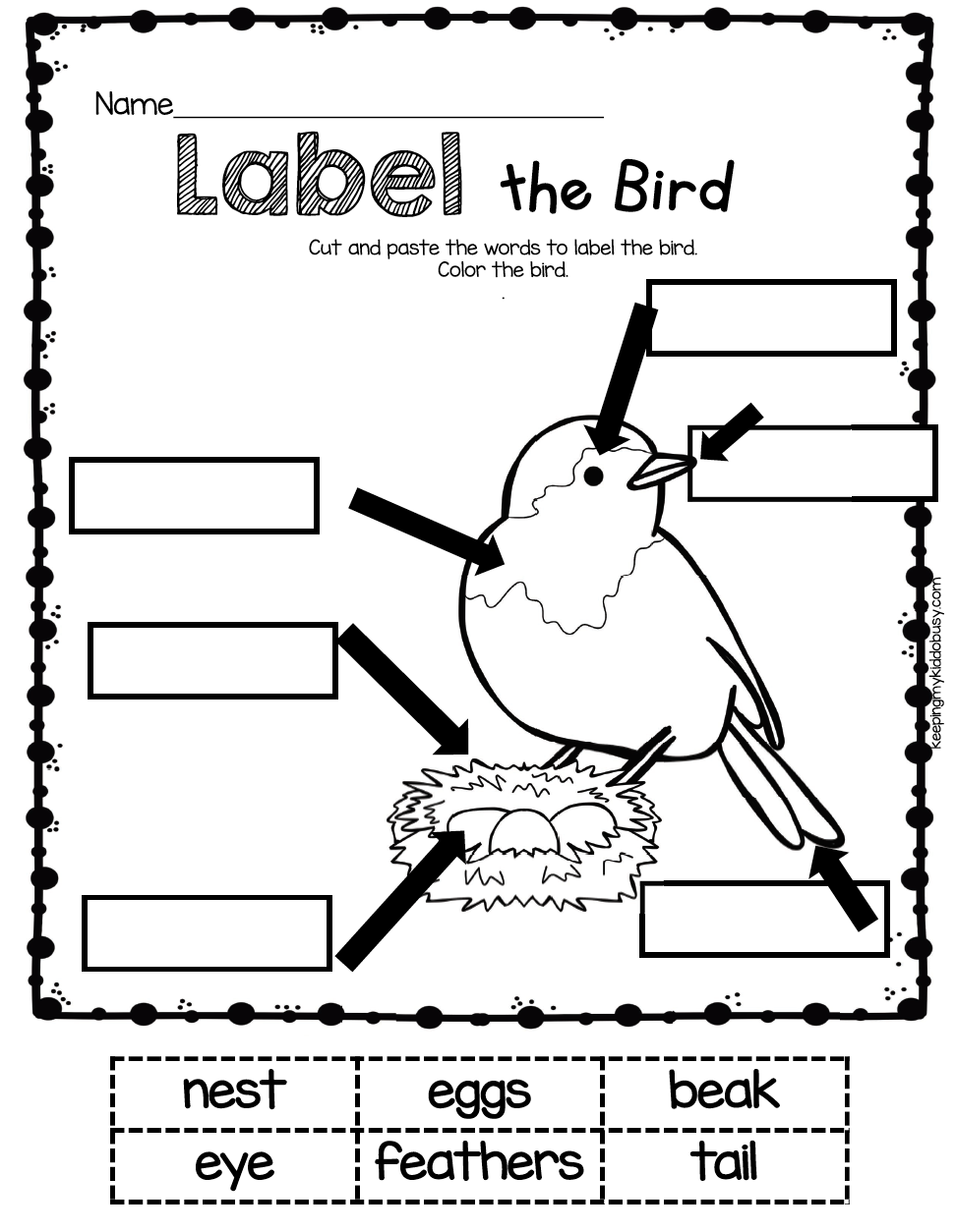 30 Kindergarten Worksheets On Birds