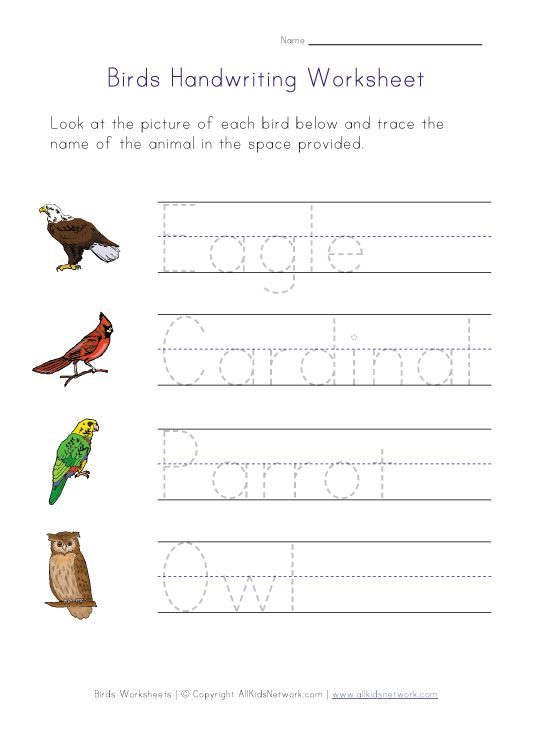 30 Kindergarten Worksheets On Birds