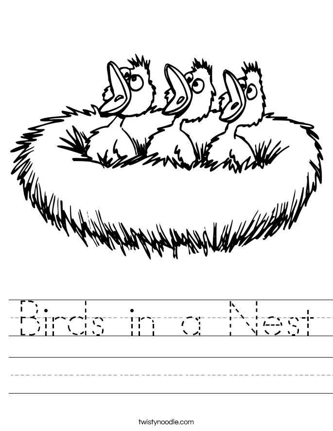 30 Kindergarten Worksheets On Birds