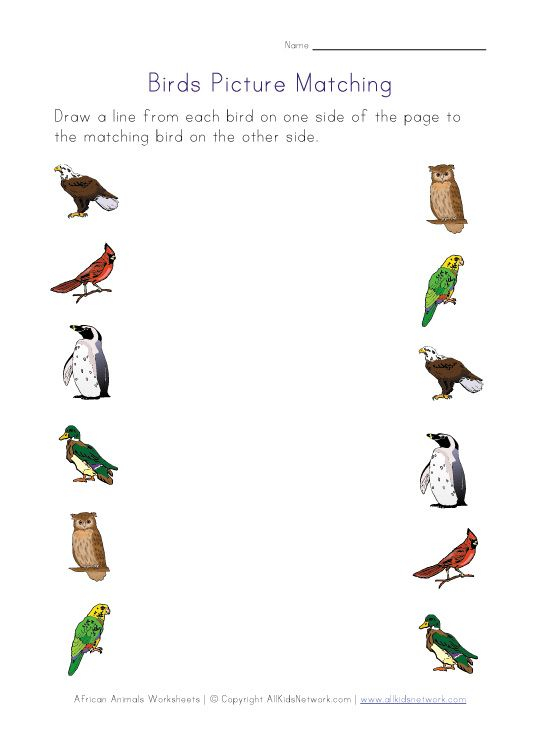 30 Kindergarten Worksheets On Birds