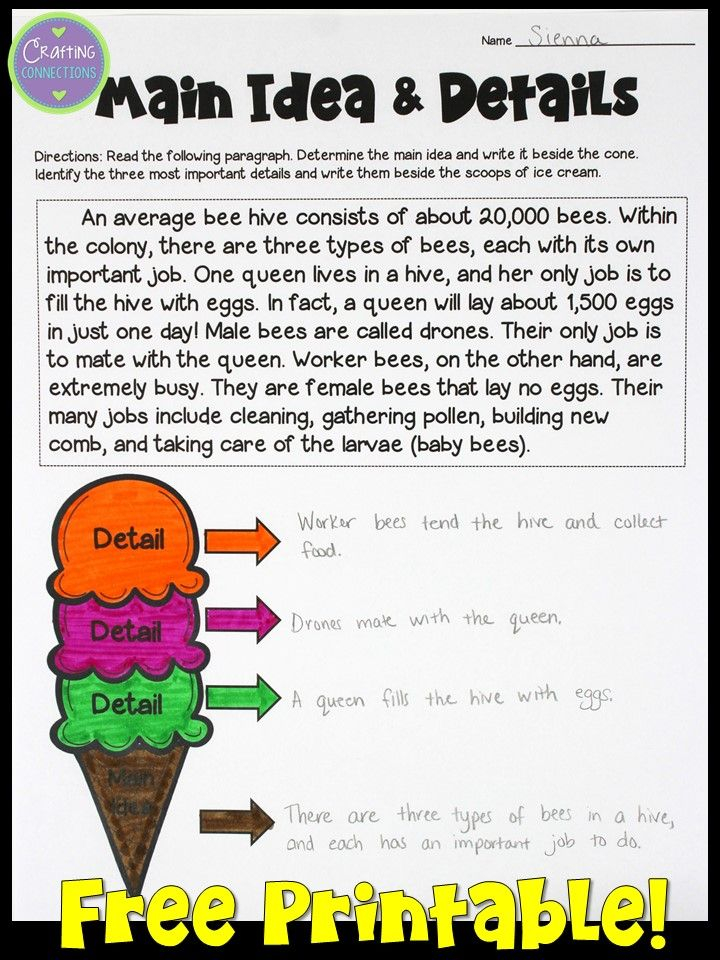 30 Main Idea Worksheets 2Nd Grade Free