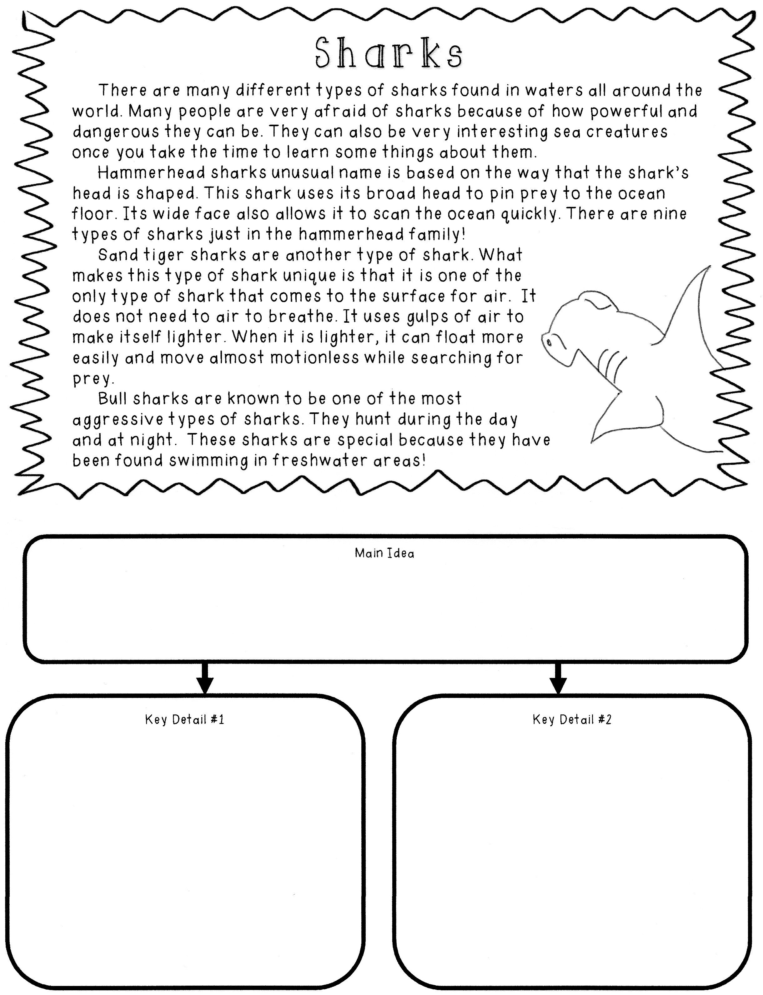 30 Main Idea Worksheets 2Nd Grade Free