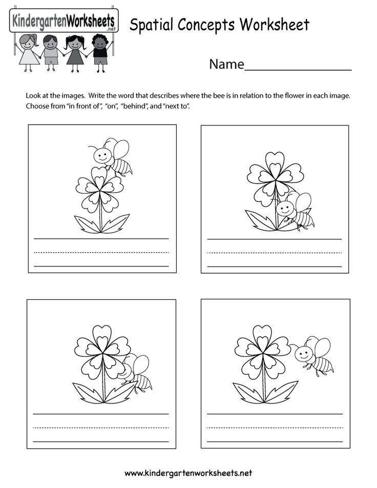 30 Noting Details Worksheets For Kindergarten