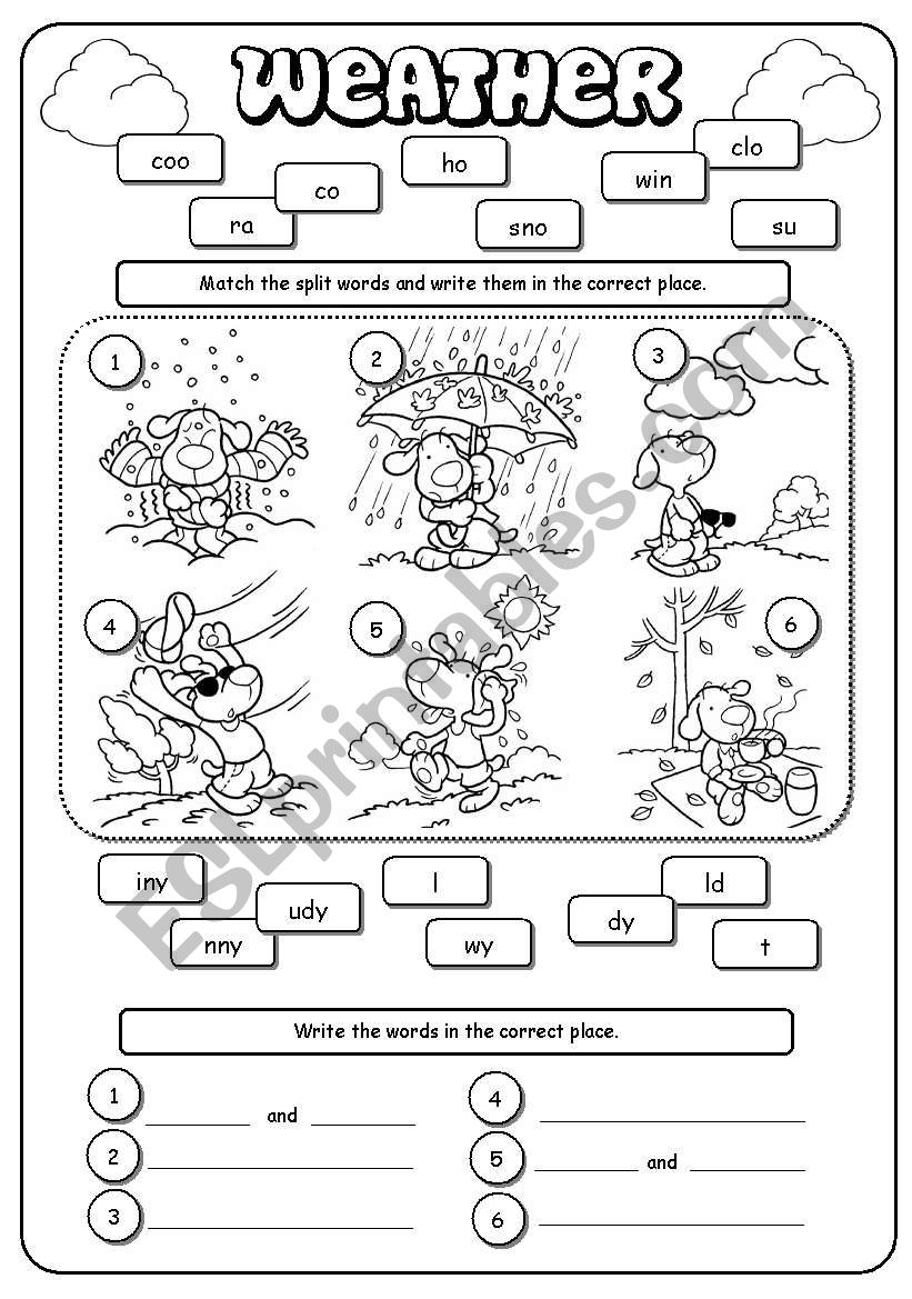 21 2Nd Grade Science Worksheets Weather