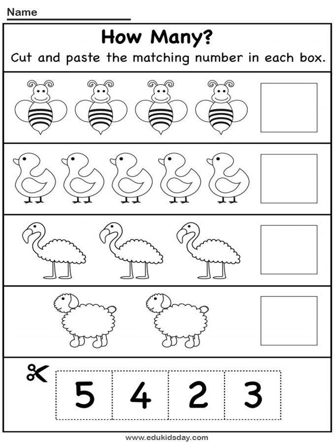 21 Counting Objects Worksheets Cut And Paste