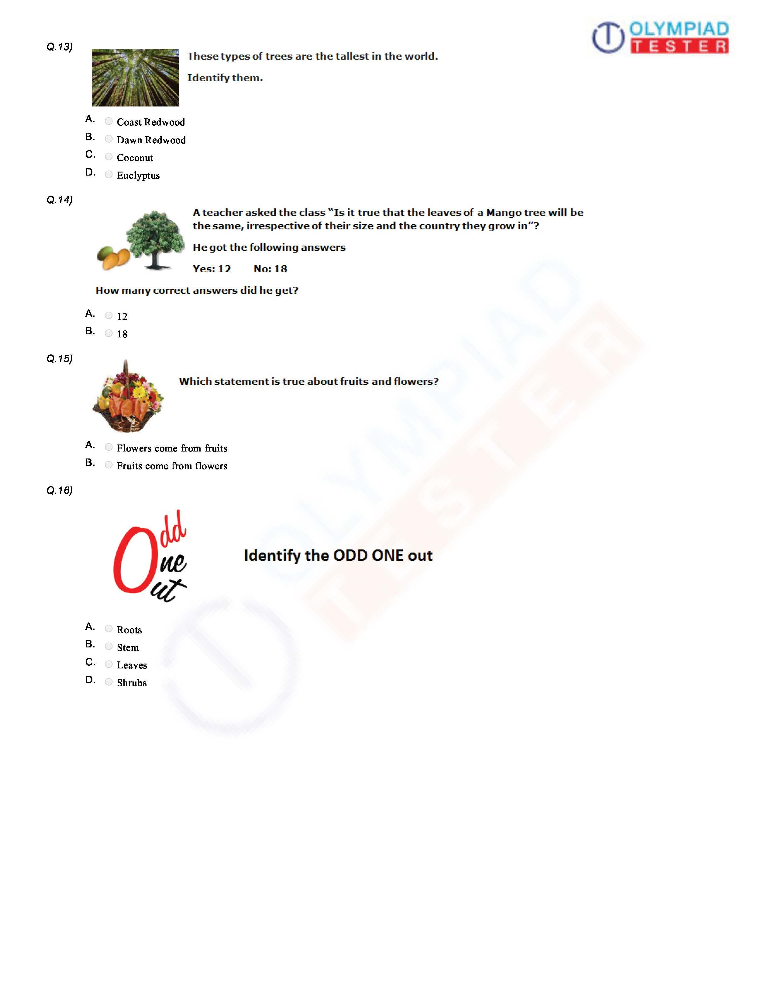 21 English Olympiad Worksheets Grade 1