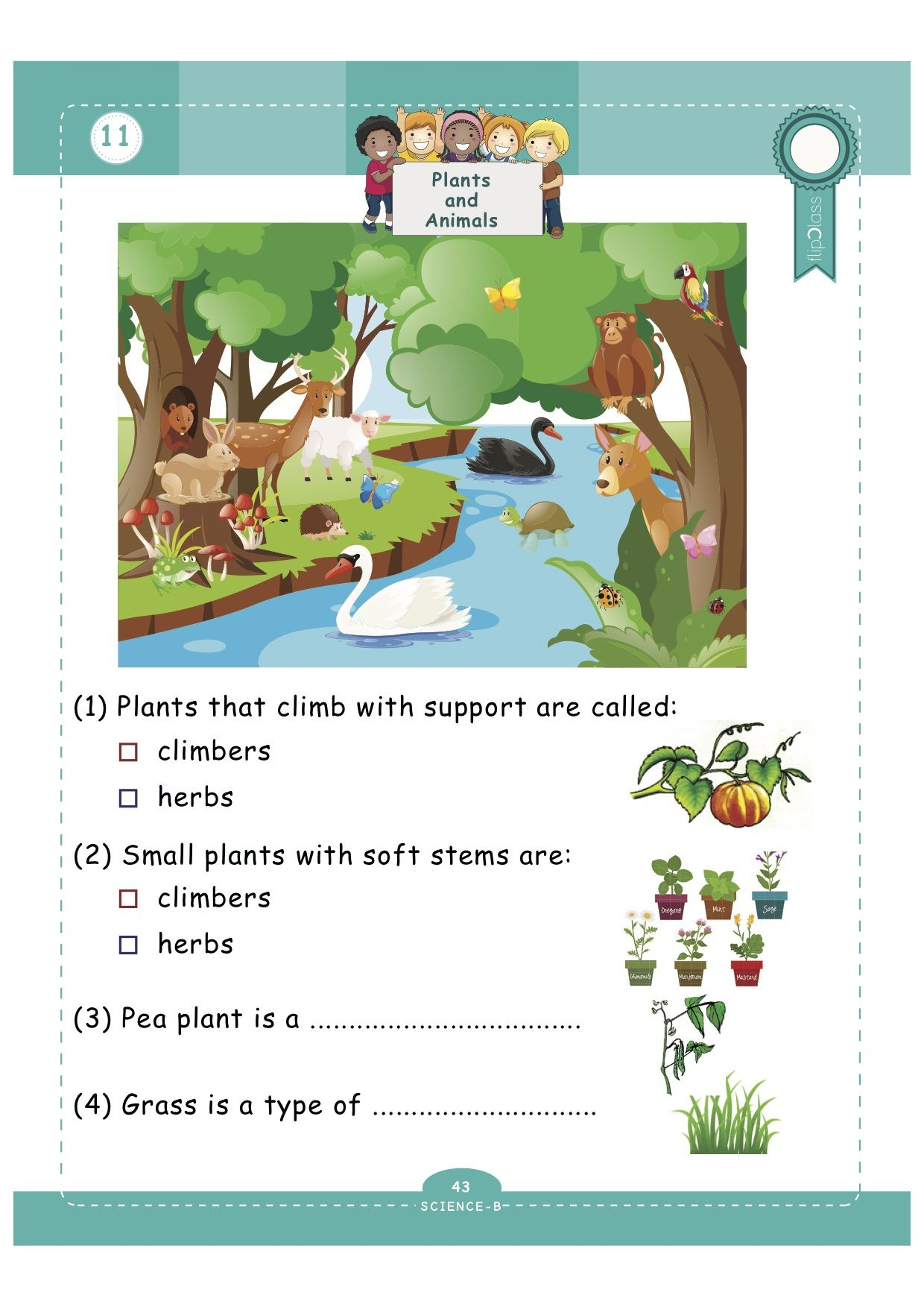 21 English Olympiad Worksheets Grade 1