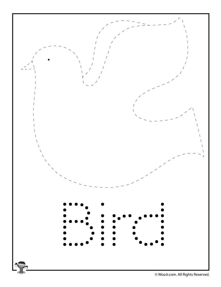 21 Kindergarten Worksheets On Birds