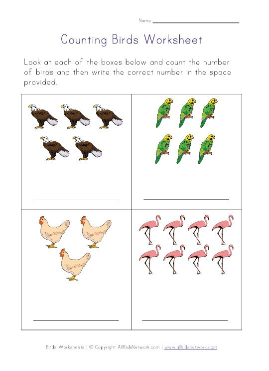 21 Kindergarten Worksheets On Birds